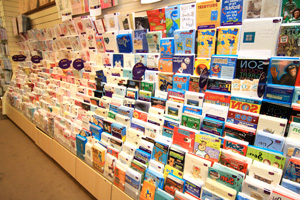 Softtoys at Carrolls Hallmark